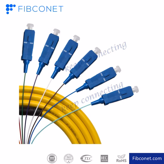 FTTH Single Mode 4 6 8 12 24 48 96 Core Distribution Sc/APC Fan-out Bundle Fibra Óptica Pigtail